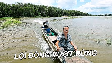 Lội Đồng, Vượt Rừng Bắt Cá Mùa Nước Nổi Ở Tha La – Trà Sư