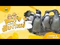 🔴 Live! Penguin | 4-5-2026 , 12:00 | Zoo TV สวนสัตว์เชียงใหม่