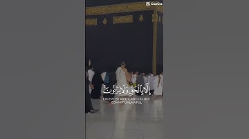 ﴿وَالَّذينَ لا يَدعونَ مَعَ اللَّهِ إِلهًا آخَرَ﴾ [الفرقان: ٦٨] #قران_كريم #تلاوة_خاشعة