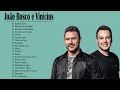 Joo bosco e vinicius 2020 ao vivo cd completo