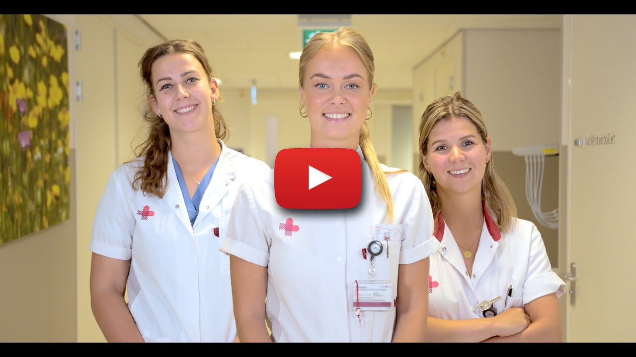 De Verpleegkundig Professional in het JBZ