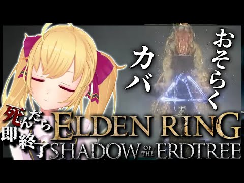 video thumb