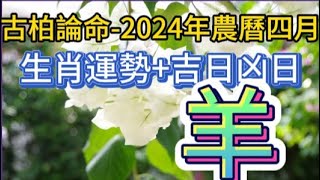 【古柏論命每月運勢+吉日凶日】2024年農曆四月(陽曆2024年5/8 ~ 6/5)生肖運勢分享   羊