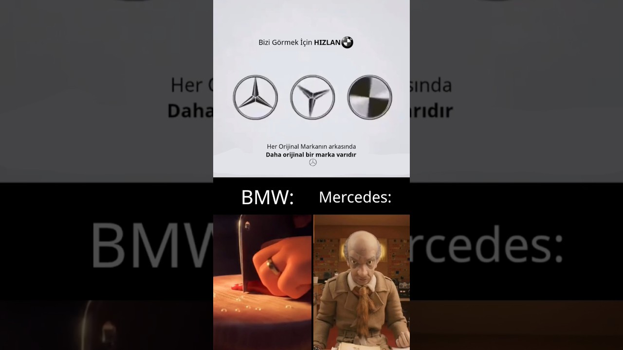 #catloverlife 😵💫