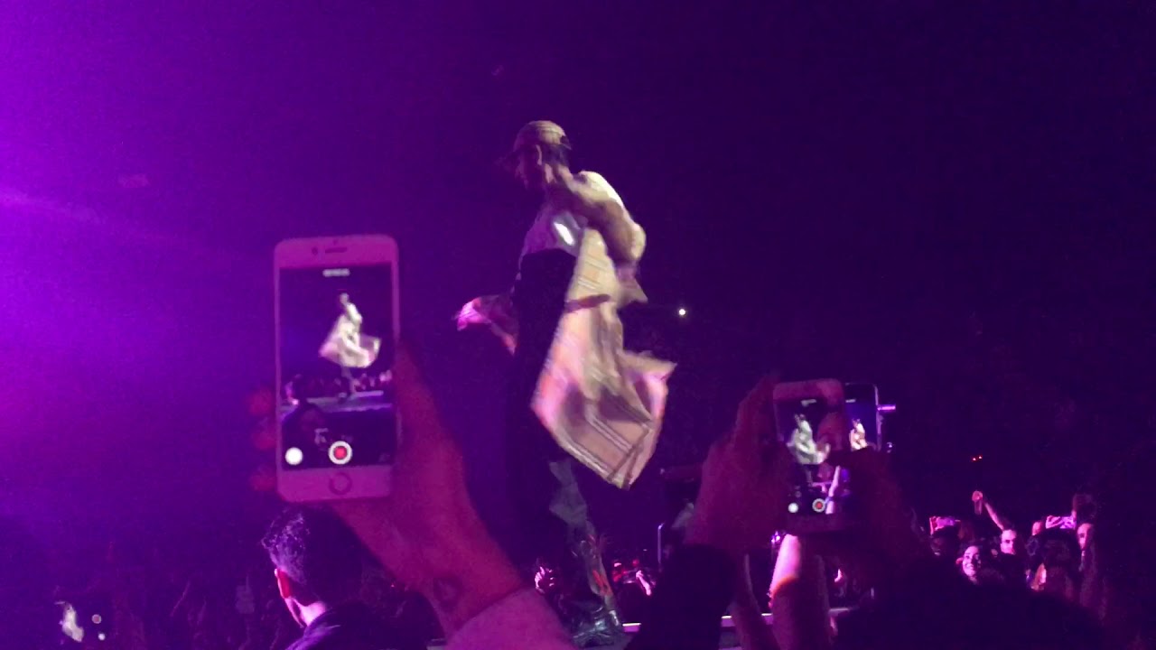 Oscar and the wolf Istanbul Exotic