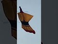 Layangan Kuwir Gelisah #layang #layangan #layanglayang #kite #kitechannel #shorts