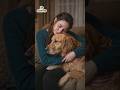 “Science Says Dogs Make Humans Happier 🐶”#zssciences #youtubeshorts ۔