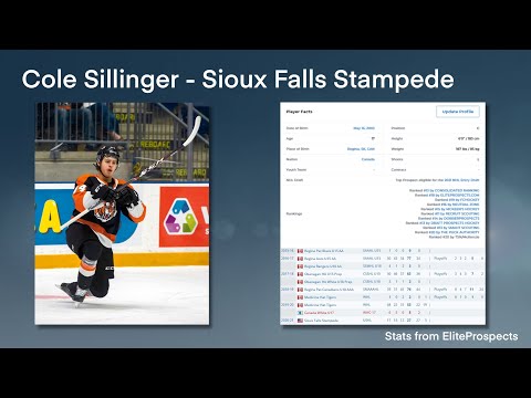 DobberProspects USHL Scouting Report - Cole Sillinger