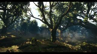Witcher 3 Soundtrack - On the Path to Velen Extended