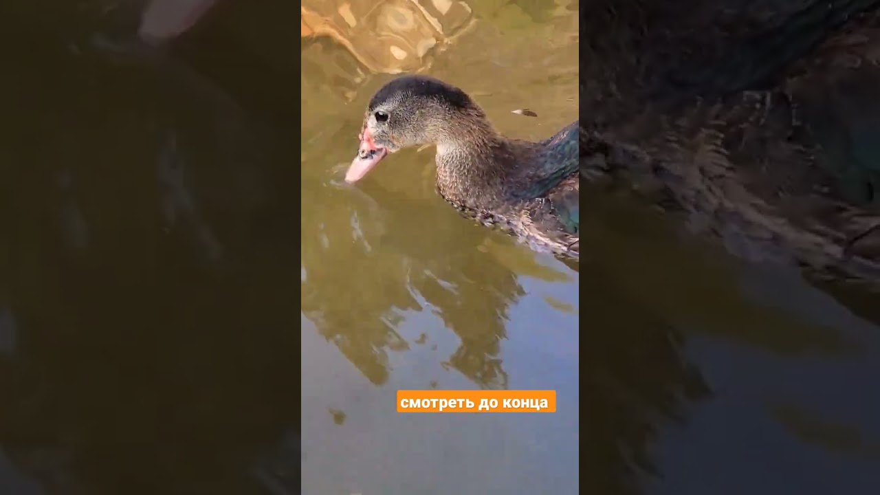 А это к деньгам?