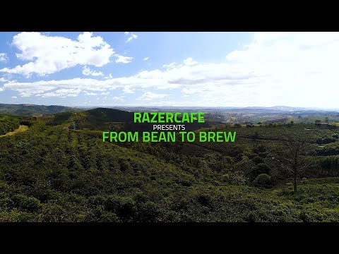 RazerCafe - RazerCafe