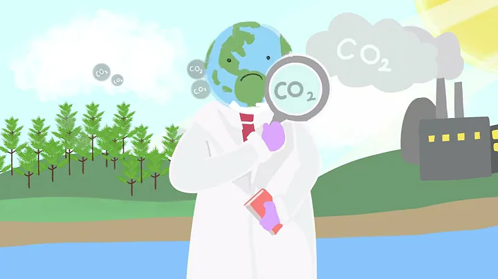 How Plants Respond to Increasing Levels of Atmospheric Carbon Dioxide?