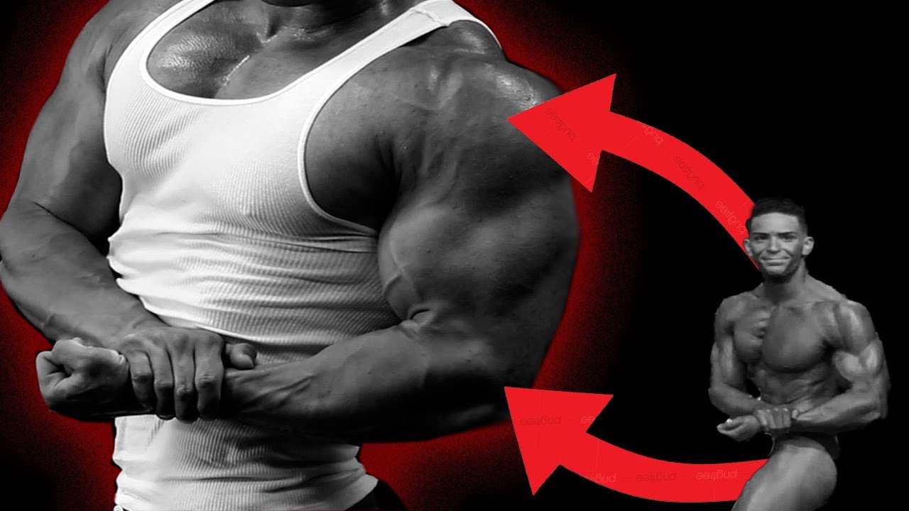 My Favorite Exercises For Each Body Part!