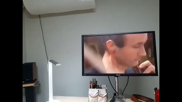 M  Cazzati Ciaconna C  Pluhar, L