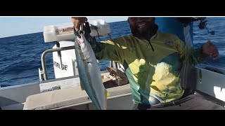 SURPRISE Yellowtail KINGFISH Fishing | Perth | Australia