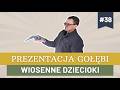 Prezentacja gołębi #38 - Bogdan Nieradka - Wiosenne Dziecioki