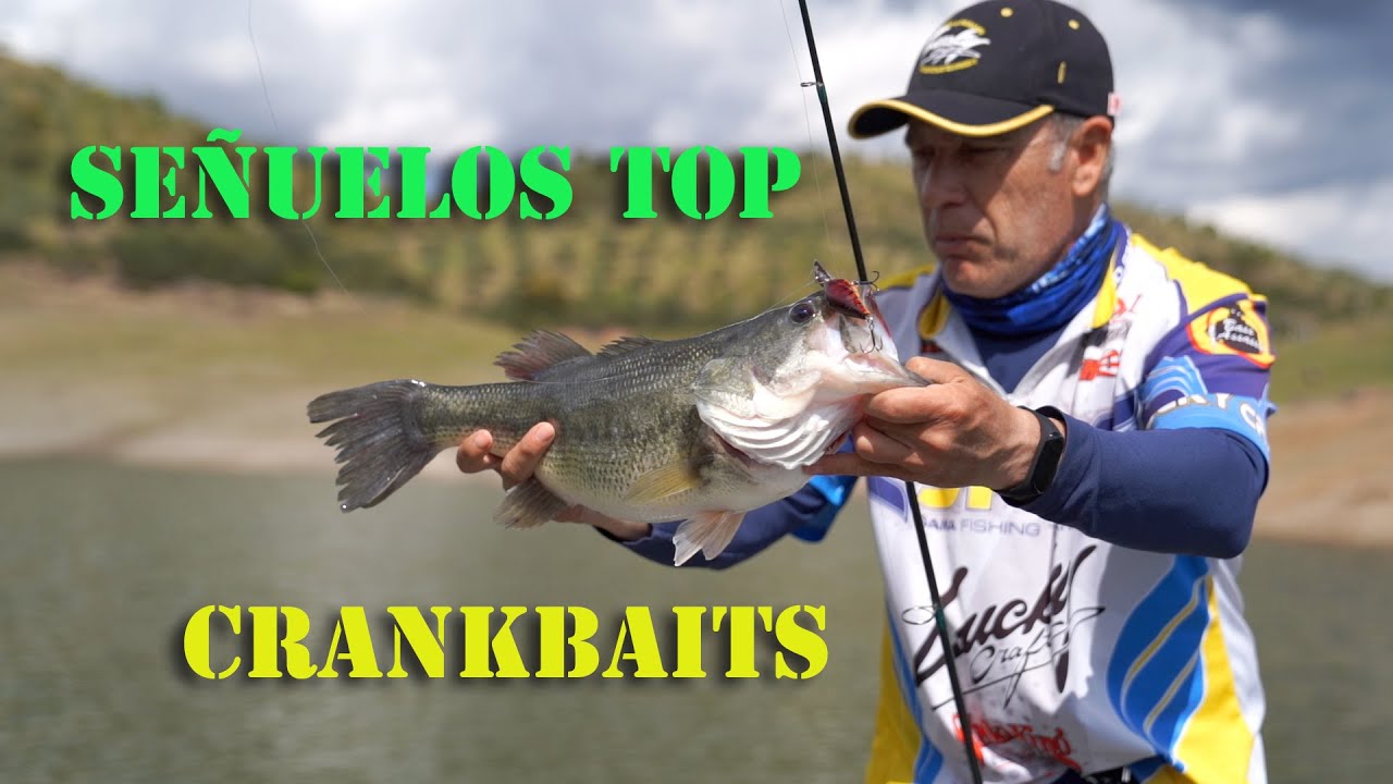 Señuelos Top Crankbait.