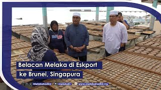 Belacan Melaka Di Eksport Ke Brunei, Singapura Hebat! Ternyata belacan buatan Melaka berkualiti.
