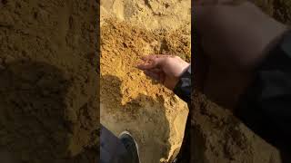 Метллопоиск на пляже #metaldetecting #коп #металлокоп #металопоиск #пляжныйкоп ##пляжныйпоиск
