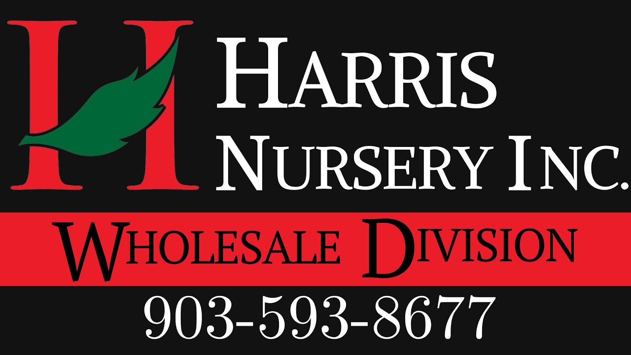 Harris Nursery Tyler, TX Wholesale Division YouTube