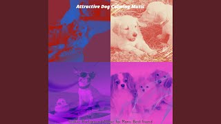 Easy Backdrops for Relaxing Your Dog
