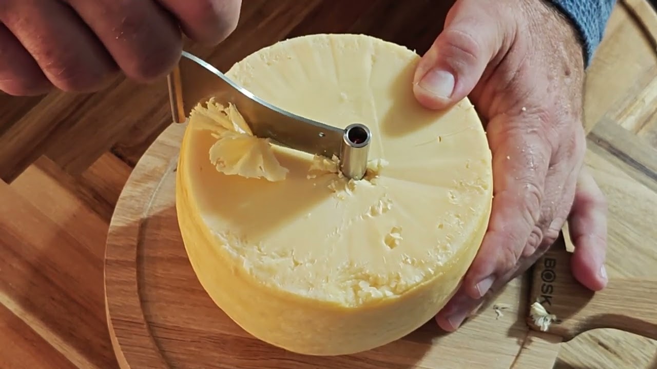 EDAM CHEESE,  EDAMMER. THE SECOND MOST POPULAR DUTCH CHEESE.