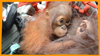 They’re suffering in silence. You can be their voice