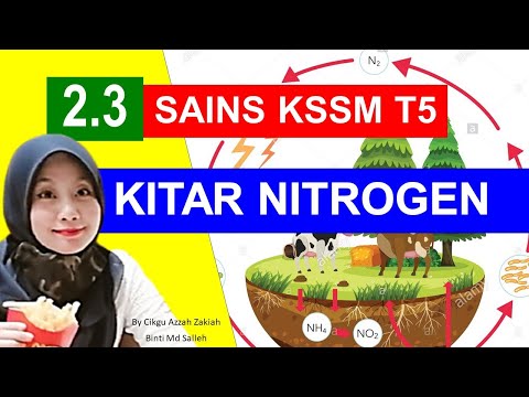 Video: Adakah haiwan memperoleh nitrogen yang boleh digunakan?