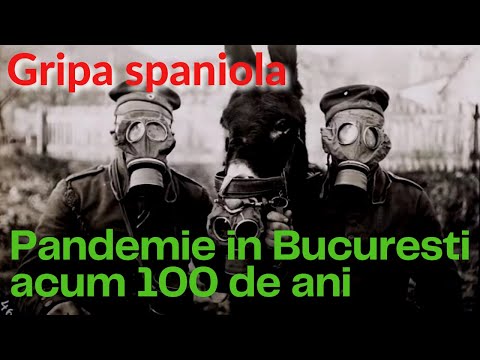 Video: 100 de zile până la demobilizare. Albumul Dembel. forma Dembel