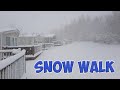 DARTMOOR SNOW - HEAVY SNOWFALL UK - MEGA SNOW DURING THE BEAST FROM THE EAST (REALLY THICK!)