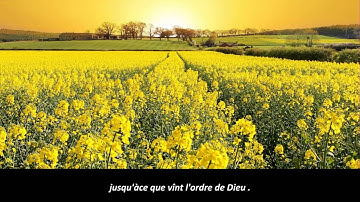 Surah Hadid Omar Muktin -سورة الحديد عمر ماكتين