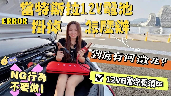 Tesla 12V 小电池坏了？！｜如何拯救砖头Model 3｜特斯拉12V电瓶不为人知的秘密｜Echo推荐码91220【Echo’s Ev Life 】 - 天天要闻