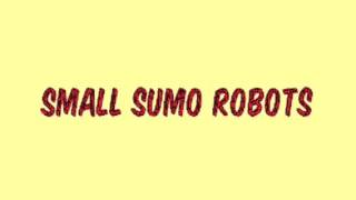 Robot Challenge Vienna 2016
