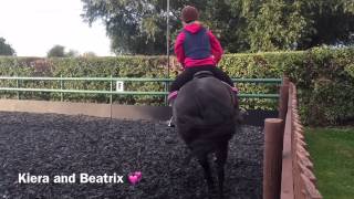 Fun Flatwork
