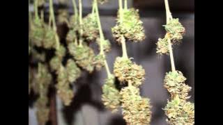 Download lagu Collie Buddz - Old Times Sake