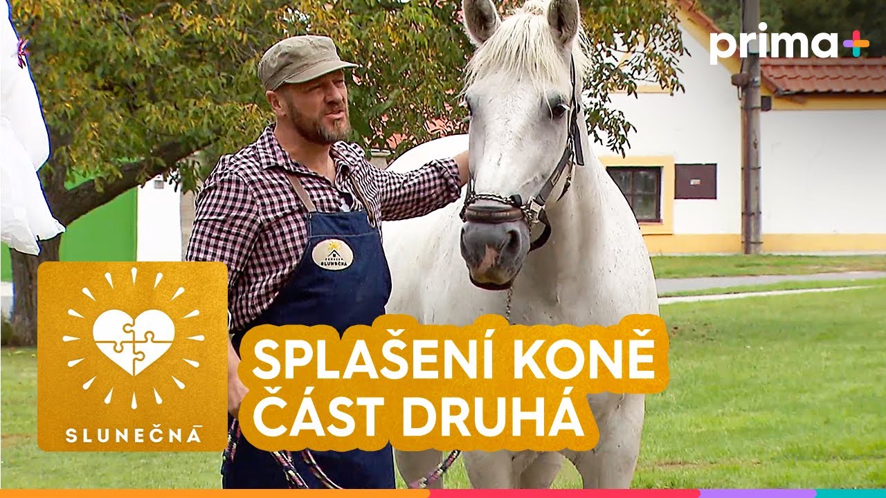 ☀️Slunečná (2): Splašení koně – část 2/3