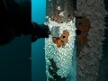 Industrial Heavy Metal Scrape: Rudder Stock Reveal 🚢⛏️