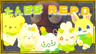 🏵️【R.E.P.O.】ちっちゃいのちのお宝さがし【ろるこちゃん視点】 | マスコットVTuber | #たんぽぽサンチーム