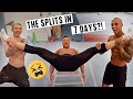 Learning THE SPLITS In 7 Days!? (Flexibility Challenge) | ft. Nile Wilson, Luke Stoney