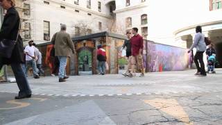 Has Philly lived up to its name: "City of Brotherly Love"?