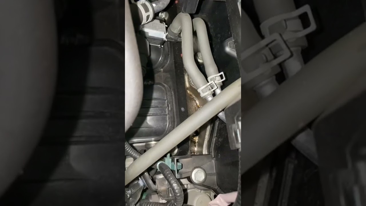 Civic Type R FK8 leaking rocker cover gasket bocor minyak hitam meleleh