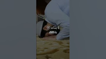 وما خلقت الجن والانس الا ليعبدون.الآية
