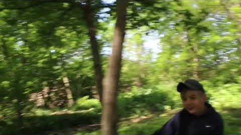 The Best Way to Create a Food Plot Part 2