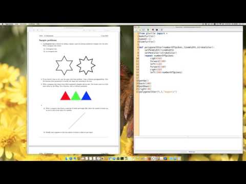 Exam Prep #6 (TigerJython): Problem 2 - Polygonal Star with Parameters