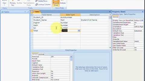 Free Learn Microsoft Access 2007 Urdu Video Course Class 3