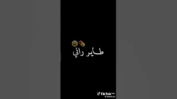سبابي العشق و الصحاب طائر راني نشوف ف الضباب Yuotube اكسبلور تصميم فيديوهات مشاهير تيك توك 