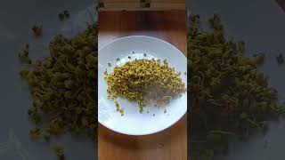 मोड आलेल्या मुगाचा नाश्ता रेसिपी Healthy Breakfast Recipe