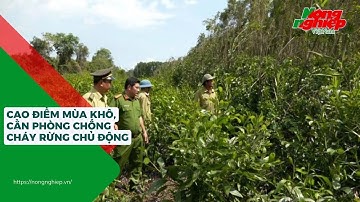 Cao điểm mùa khô, cần phòng chống cháy rừng chủ động