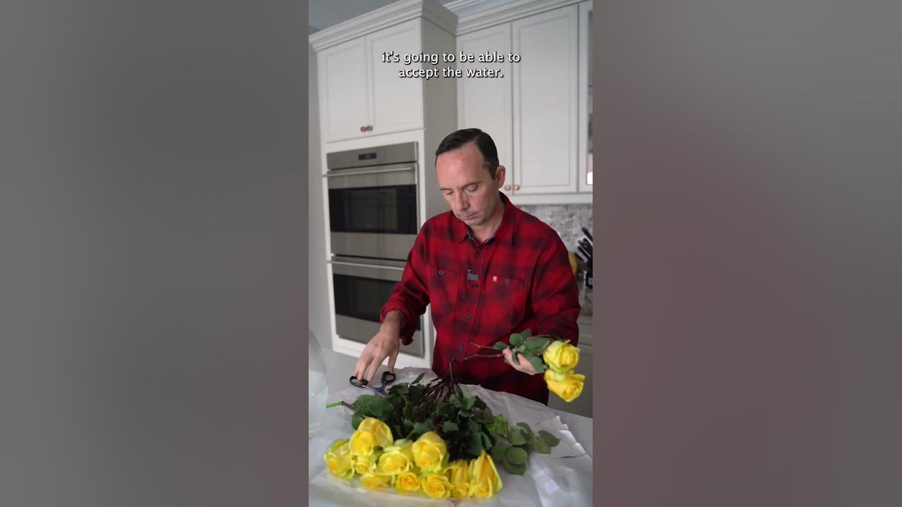 How to Make Cut Roses Last Longer YouTube