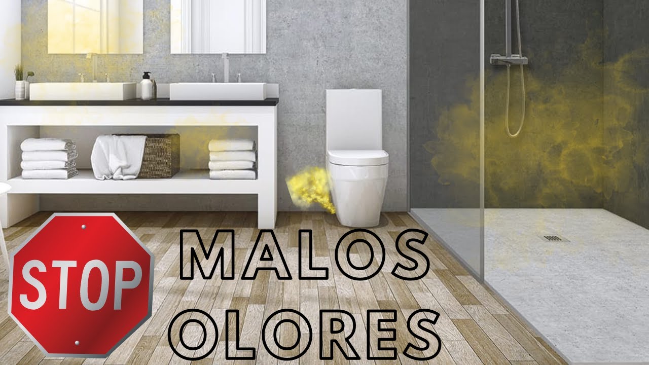 Videoconsejo: ¿Malos olores en el baño? Quizá necesites limpiar el bote  sifónico